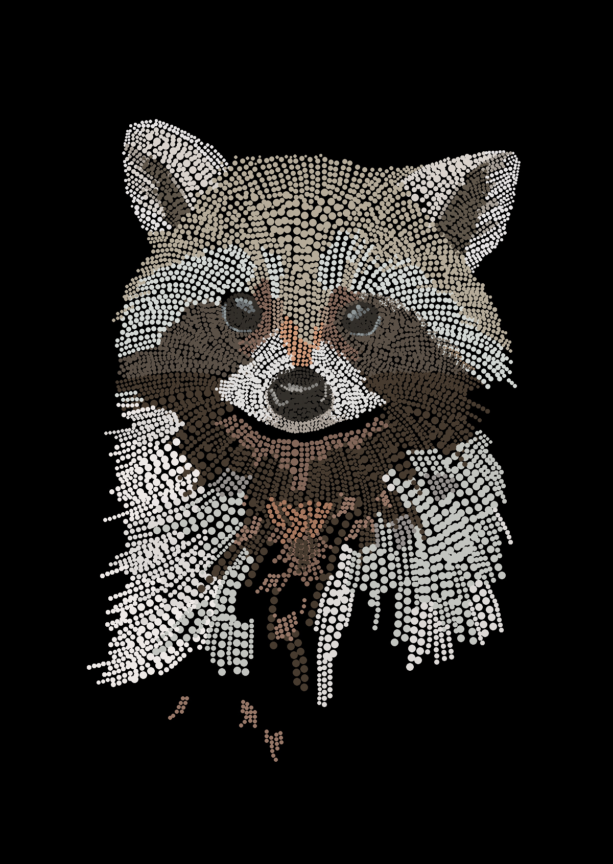 zcube Portfolio Image